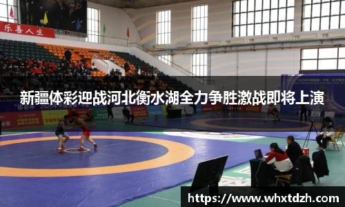 MILE米乐官方网站