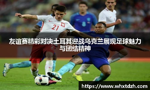 MILE米乐官方网站