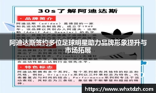 MILE米乐官方网站