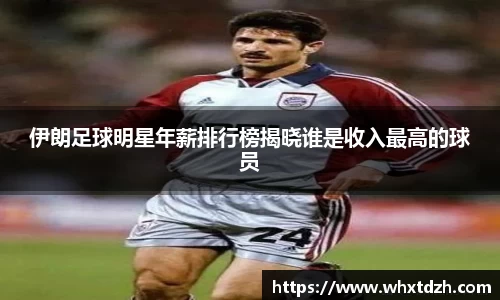 MILE米乐官方网站